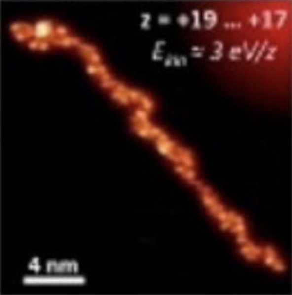 Real Space Imaging of Complex Biological Molecules at the Atomic Level by UHV Scanning Probe Microscopy 