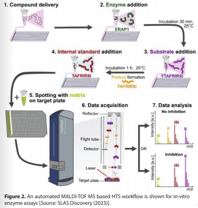 High-Throughput MALDI-TOF Mass Spectrometry for the Discovery of Peptide Therapeutics